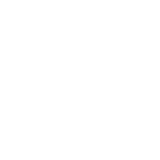 segmentos